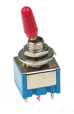 DPDT11